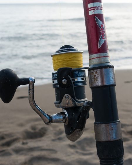 Spinning Reels